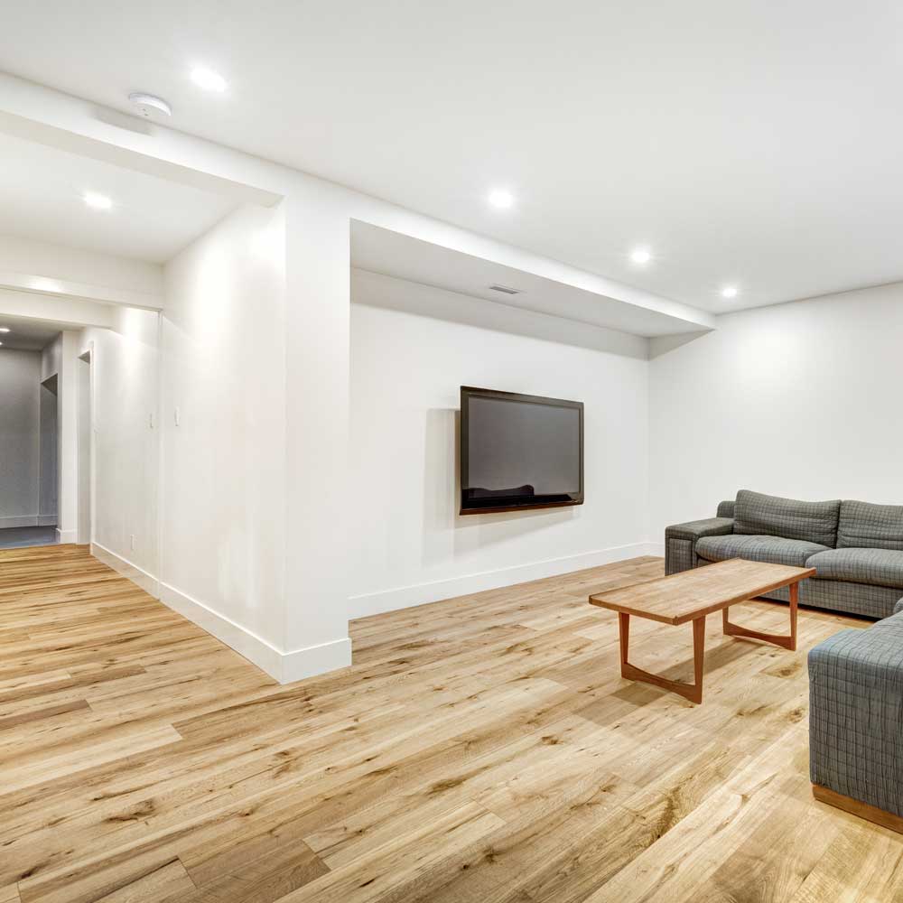 omgbasement